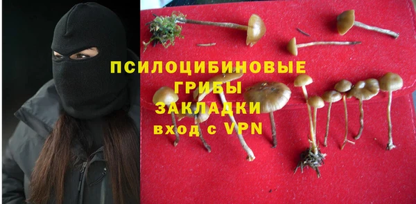 ECSTASY Балахна