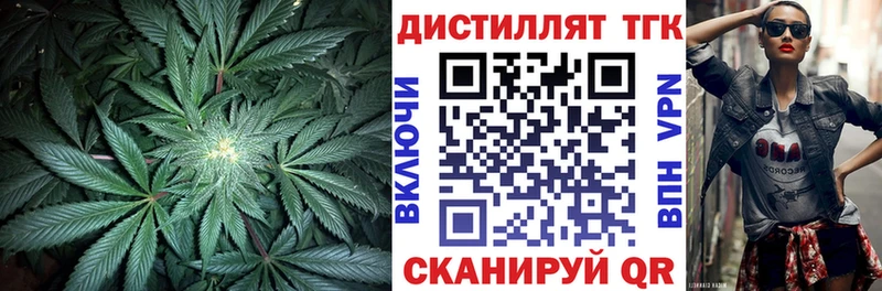 ТГК Wax  Суворов 