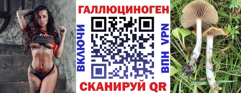 Галлюциногенные грибы Magic Shrooms  mega вход  Суворов  цена  